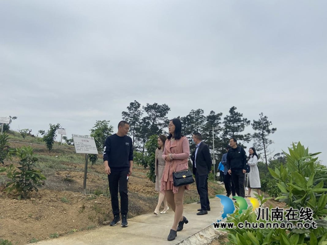 泸县百和镇召开农文旅项目招商引资座谈会(图1)