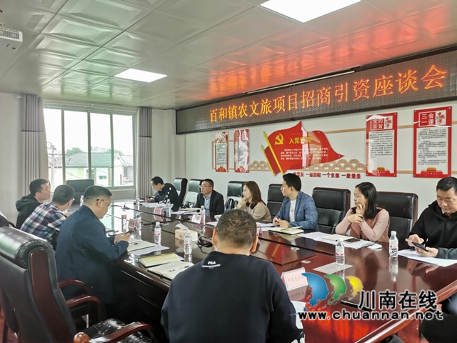泸县百和镇召开农文旅项目招商引资座谈会(图3)