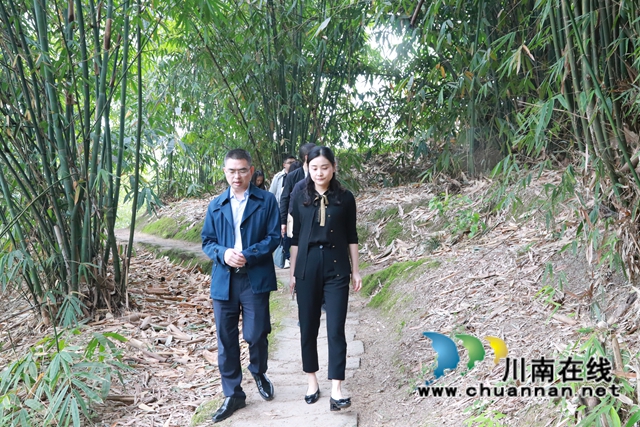 甘露到泸县云龙镇督导森林防灭火工作(图2) 甘露到泸县云龙镇督导森林防灭火工作(图2)