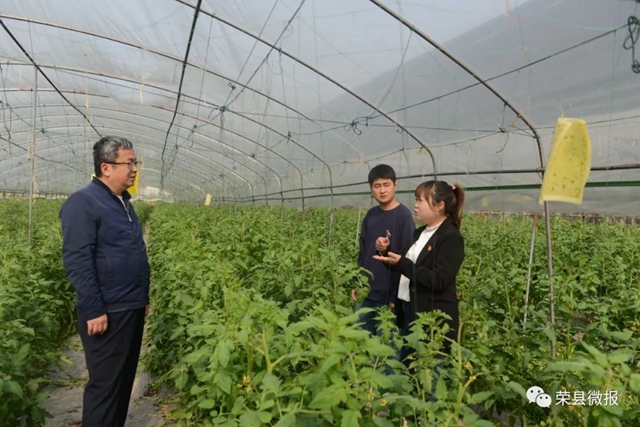 民富村美!荣县这个乡村振兴示范村打造川南地区蔬菜全产业链(图4) 民富村美!荣县这个乡村振兴示范村打造川南地区蔬菜全产业链(图4)