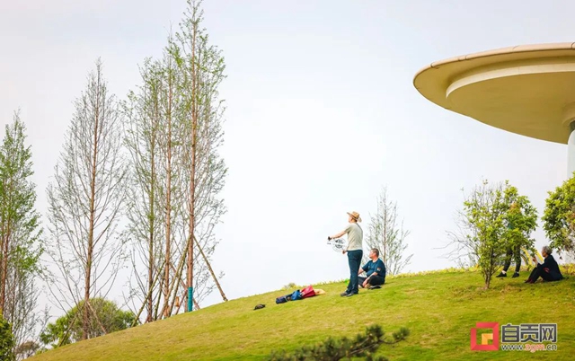 俯视宛如眼球!自贡这个绿地公园苍翠欲滴(图2) 俯视宛如眼球!自贡这个绿地公园苍翠欲滴(图2)