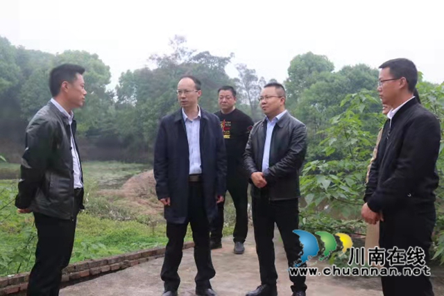 肖春到泸县百和镇、云锦镇调研当前重点工作(图3)