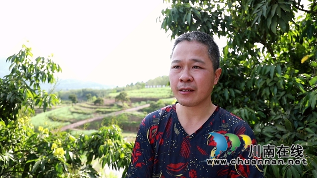 合江：油茶地里种大豆，春耕套种促增收(图4)