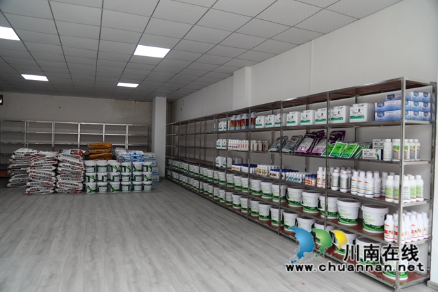 古蔺县大村镇：五化五统一，助力万亩猕猴桃“出圈”(图6)