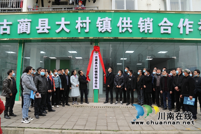 古蔺县大村镇：五化五统一，助力万亩猕猴桃“出圈”(图7)