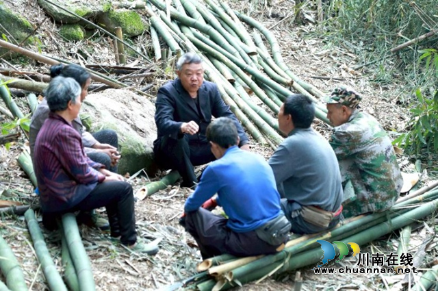 合江县榕山镇:乡贤会长心中那一抹绿(图2) 合江县榕山镇:乡贤会长心中那一抹绿(图2)