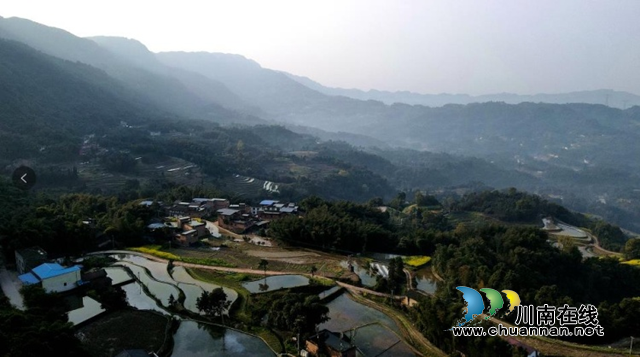 合江县榕山镇:乡贤会长心中那一抹绿(图3) 合江县榕山镇:乡贤会长心中那一抹绿(图3)