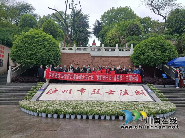 龙马潭区红星街道天立社区开展清明节缅怀先烈文明绿色环保祭扫活动(图3)