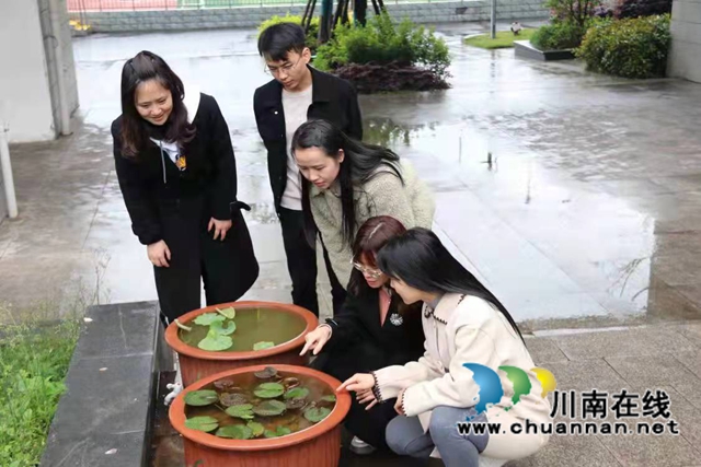 泸县“国培计划”:新教师跟岗培训有“芹”怀(图1) 泸县“国培计划”:新教师跟岗培训有“芹”怀(图1)