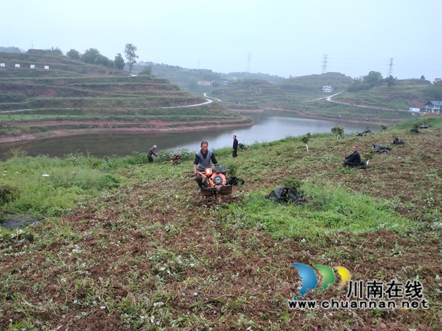 打响大豆扩种“丰收仗”！泸县云龙镇大豆种植核心示范区开始建设(图3)