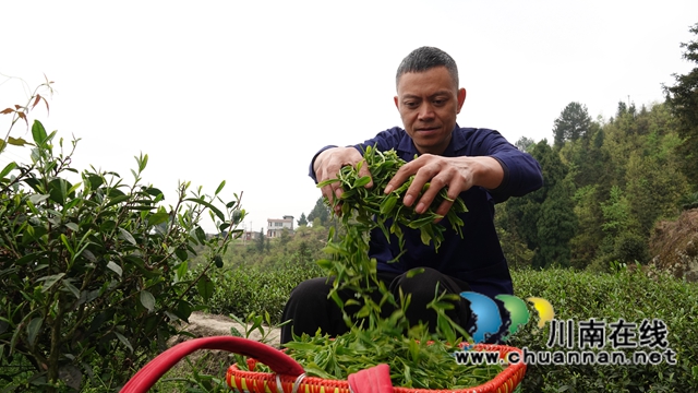 古蔺乡贤吴兴杰：坚守创业初心 助推乡村振兴