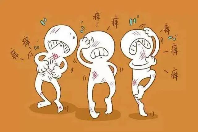 【关注】孩子踏青回来一身疹!怎么办?(图6) 5.jpg