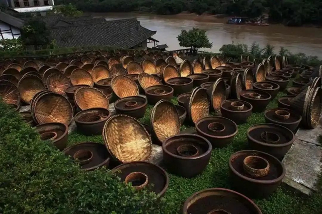 《人民日报》海外版点赞泸州生态文明建设：清风送来花草香(图3)