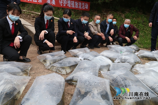 纳溪：联合增殖放流，助力长江水域生态修复(图1)