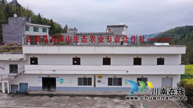 古蔺：皇华共裕村油菜花灿烂盛开(图5)