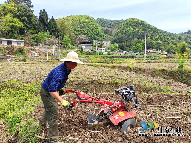 古蔺:春耕正当时,沃野添新绿!(图4) 古蔺:春耕正当时,沃野添新绿!(图4)