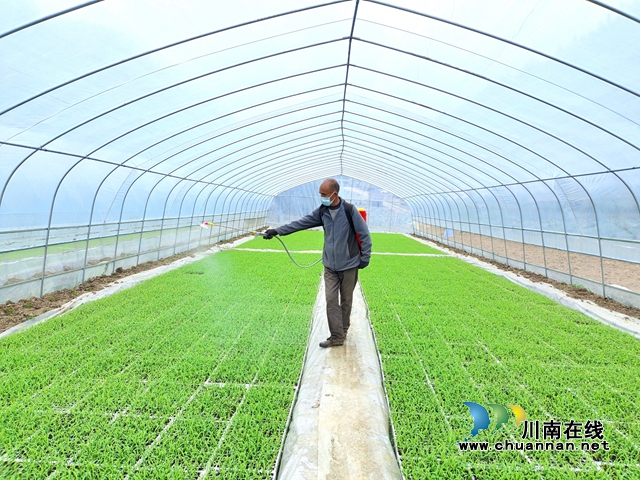 古蔺:春耕正当时,沃野添新绿!(图1) 古蔺:春耕正当时,沃野添新绿!(图1)