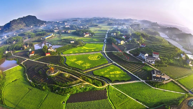 营收突破1600亿！宜宾对外发布2021年度白酒产业年鉴(图1)