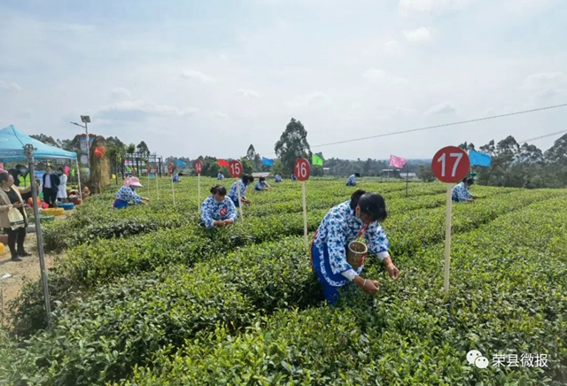 荣县14支队伍大比拼！一场指尖技艺的较量——(图3)