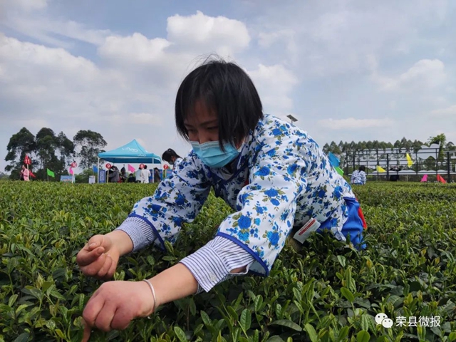 荣县14支队伍大比拼！一场指尖技艺的较量——(图4)
