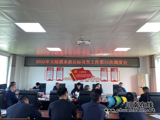 泸县县委常委朱大清到百和镇督导大陆溪水质达标工作(图1)