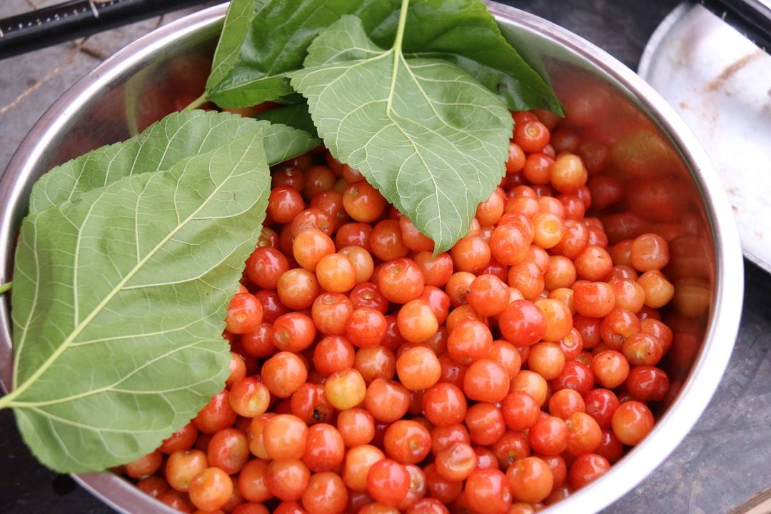 江阳区：方山樱桃抢“鲜”上市(图3)