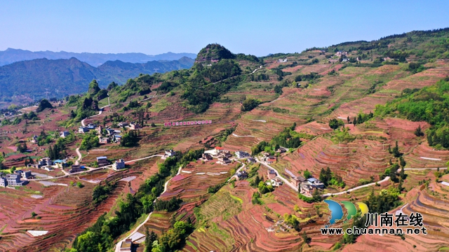 古蔺德耀:万亩梯田春耕忙,不负美景好时光(图3) 古蔺德耀:万亩梯田春耕忙,不负美景好时光(图3)
