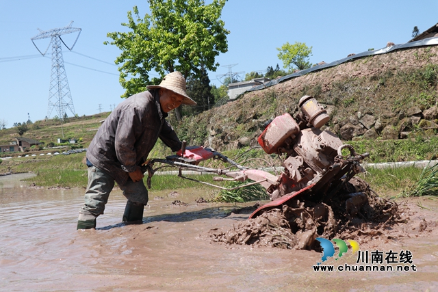 古蔺德耀：万亩梯田春耕忙，不负美景好时光(图7)