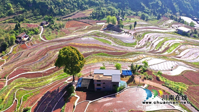 古蔺德耀:万亩梯田春耕忙,不负美景好时光(图10) 古蔺德耀:万亩梯田春耕忙,不负美景好时光(图10)