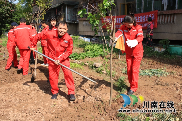 龙马潭区红星街道玉带桥社区：企地共建、美化家园(图1)