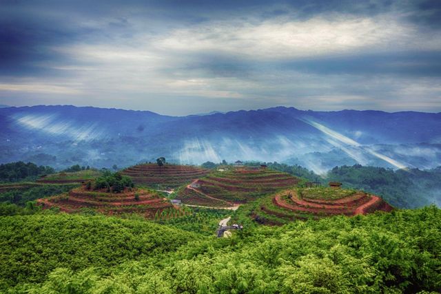 【创建天府旅游名县•纳溪】不负芳华不负春,不妨一同带着汉服去踏春吧(图1) 【创建天府旅游名县•纳溪】不负芳华不负春,不妨一同带着汉服去踏春吧(图1)