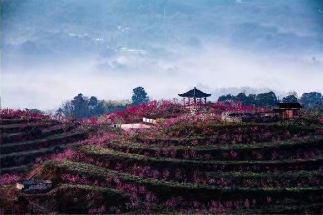 【创建天府旅游名县•纳溪】不负芳华不负春,不妨一同带着汉服去踏春吧(图3) nEO_IMG_3.jpg