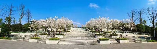 【创建天府旅游名县•纳溪】不负芳华不负春,不妨一同带着汉服去踏春吧(图6) nEO_IMG_6.jpg