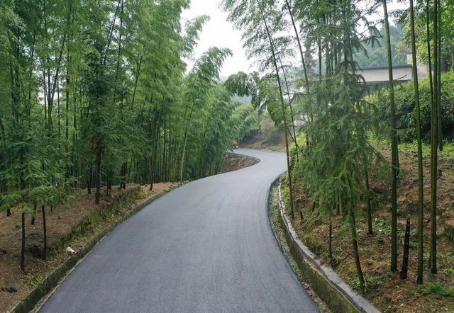 兴文僰王山景区8公里长柏油路即将完工!(图6) 兴文僰王山景区8公里长柏油路即将完工!(图6)