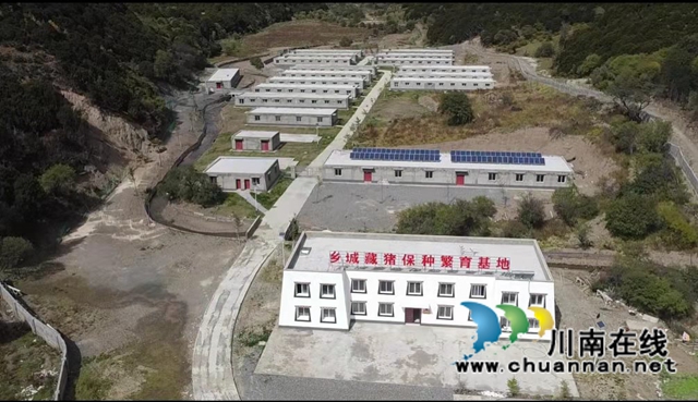 泸县：对口帮扶助力乡城畜牧产业发展(图3)