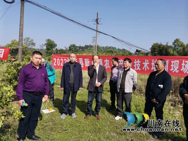 泸县毗卢镇：专家上门服务，助力乡贤发展(图1)