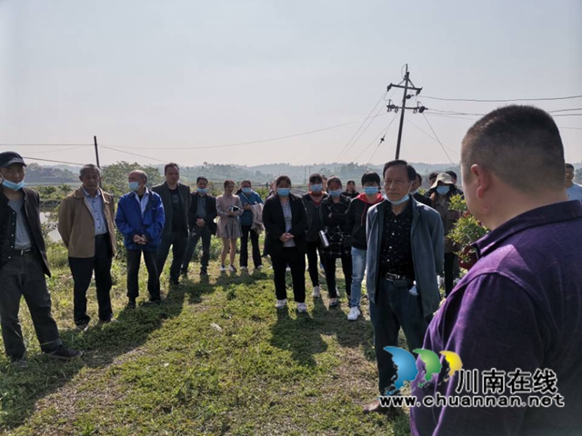 泸县毗卢镇：专家上门服务，助力乡贤发展(图2)