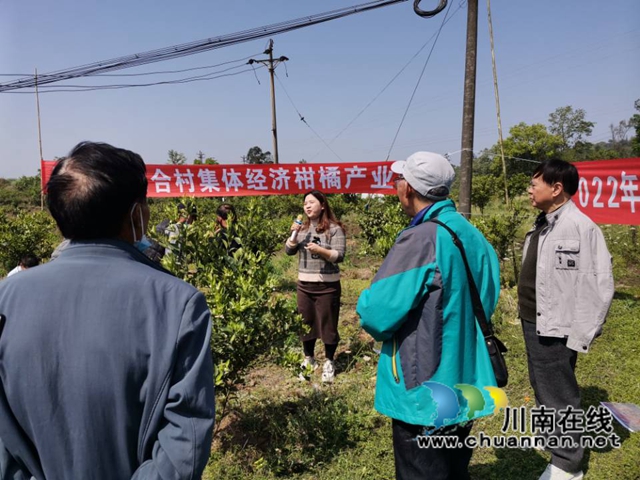 泸县毗卢镇：专家上门服务，助力乡贤发展(图3)