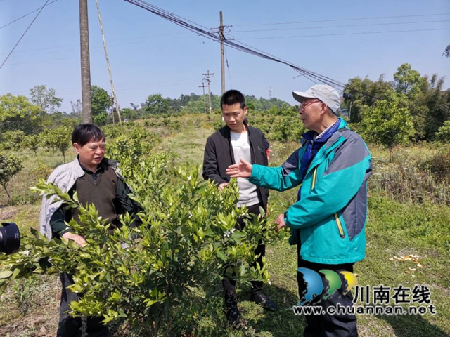 泸县毗卢镇：专家上门服务，助力乡贤发展(图4)