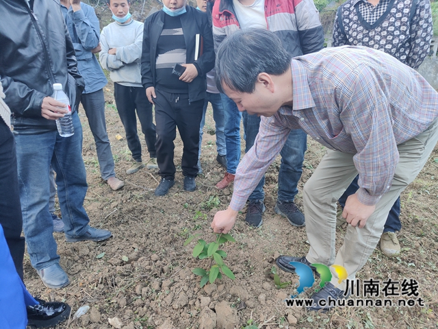 古蔺县石宝镇：“三尺讲台”进田间，乡贤授业笑开颜(图3)