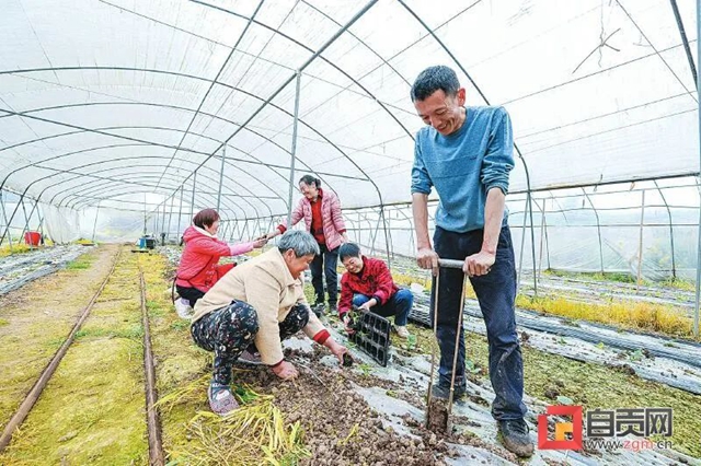 你看!好美的自贡春耕图(图6) 你看!好美的自贡春耕图(图6)