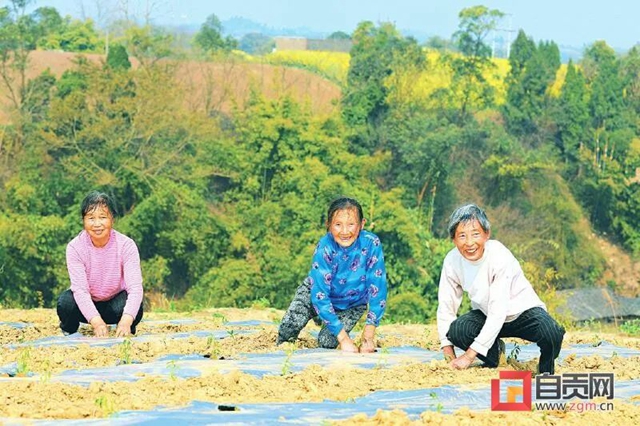 你看!好美的自贡春耕图(图7) 你看!好美的自贡春耕图(图7)