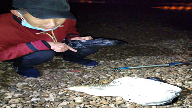 泸州：加强渔政夜间执法巡查，巩固禁捕退捕成果(图1)