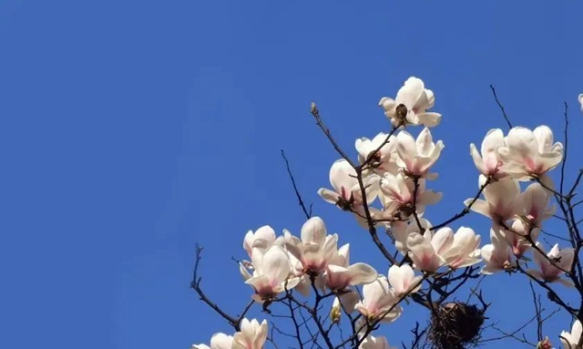 【扩散】来西南医大中医院，这两件事提前告诉你！(图2)