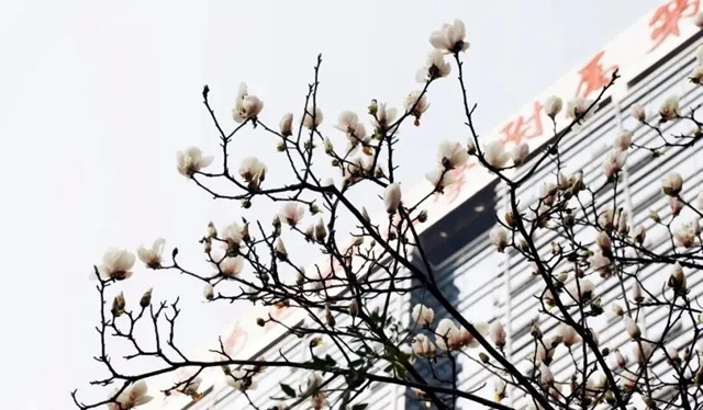 【扩散】来西南医大中医院，这两件事提前告诉你！(图6)