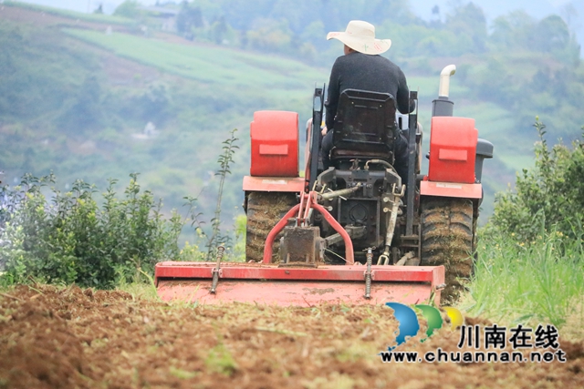 古蔺县二郎镇：防疫不松春耕忙(图5)