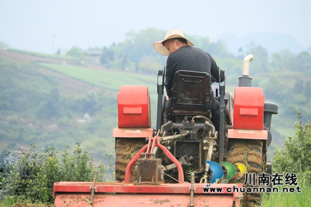 古蔺县二郎镇：防疫不松春耕忙(图4)