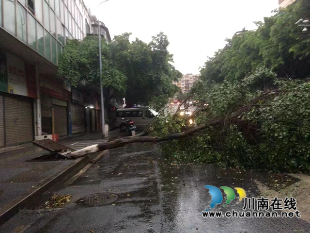 龙马潭区红星街道金井湾社区：风雨过后绘彩虹！(图4)