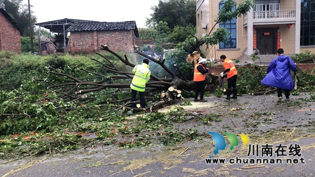 暴风过境  泸县立石镇干群齐心逆风前行！(图2)