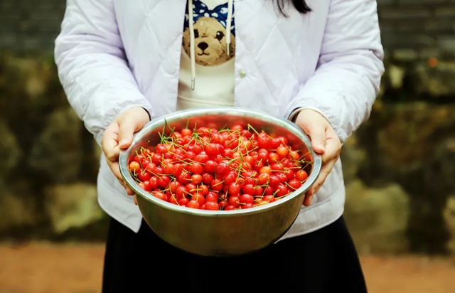 又红又甜！泸县樱桃采摘地图出炉，赶紧约起(图8)